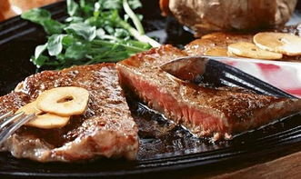 舌尖上的经典西餐之旅，探索世界美食圈的永恒魅力